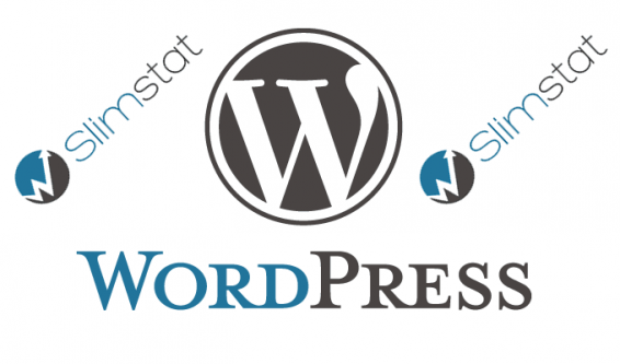wordpress-slimstat-566x333